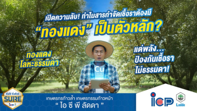 ไขความลับที่หลายคนไม่เคยรู้! ทำไมสารกำจัดเชื้อราต้องมี “ทองแดง (Cu)” โลหะป็นสารป้องกันกำจัดเชื้อรา