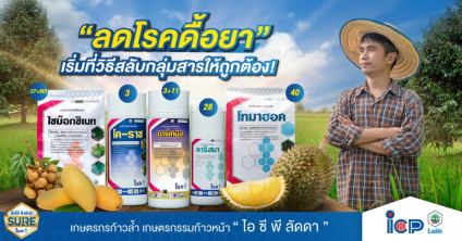 ลดปัญหาโรคดื้อยา เริ่มที่วิธีสลับกลุ่มสารให้ถูกต้อง