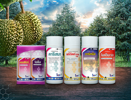 คู่มือเพิ่มผลผลิตทุเรียน