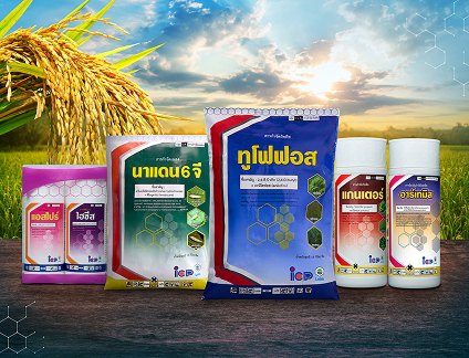 คู่มือเพิ่มผลผลิตข้าว