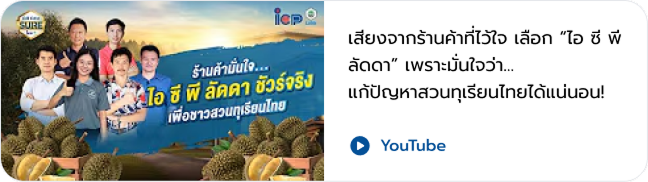 VDO 3