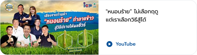 VDO 10