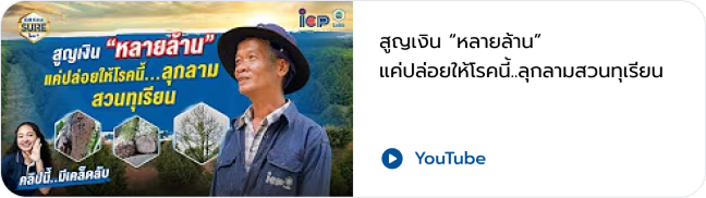 VDO 5