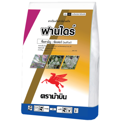 ฟานไดร์