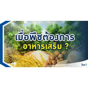 เมื่อพืชต้องการอาหารเสริม
