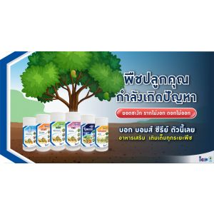 บอมส์ เจล