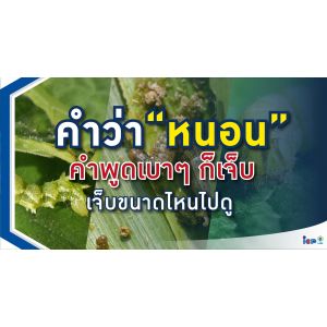 หนอนกินใบ
